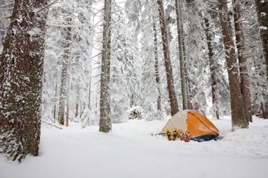 新冠疫情期间,冬季露营占比增长达40%